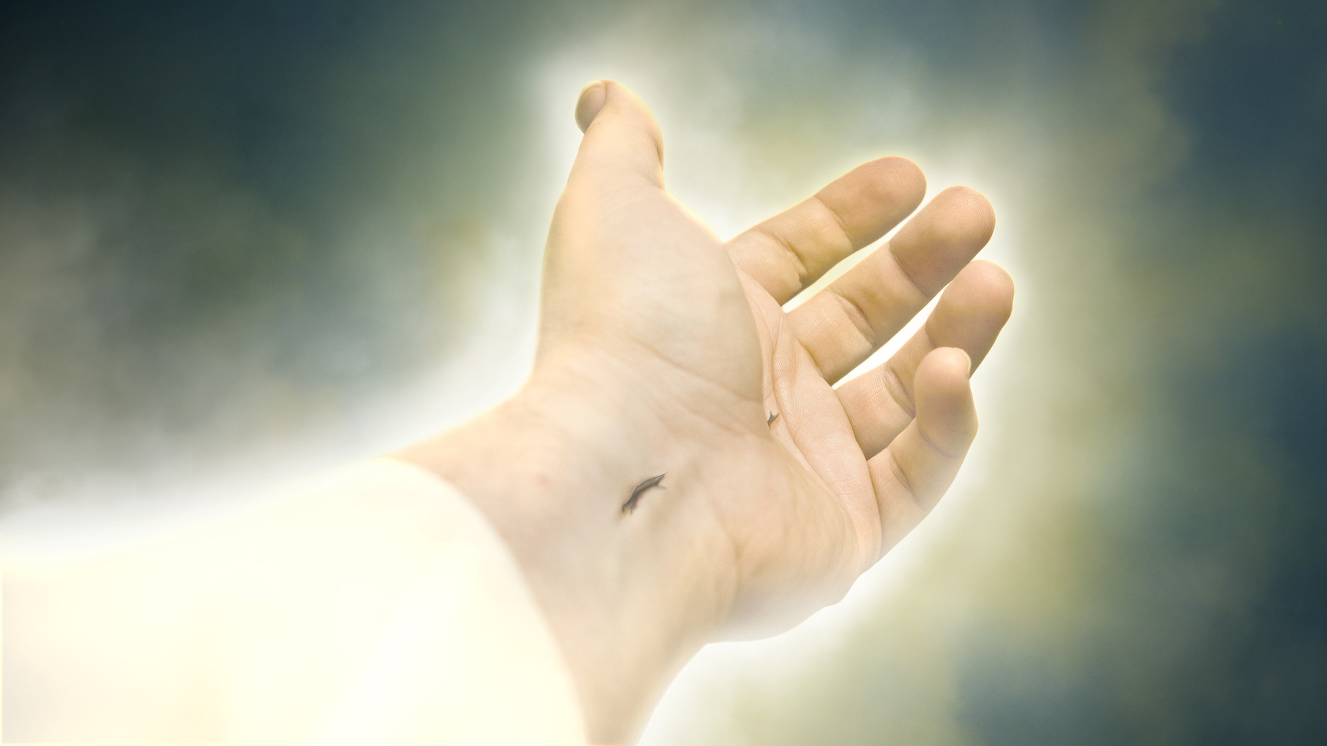 hand of God