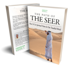 Path of the Seer book cover